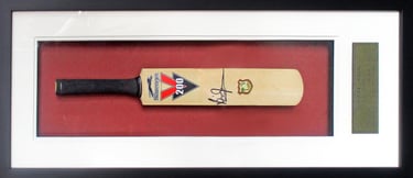Framing a cricket bat