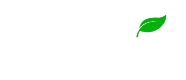 Freshye