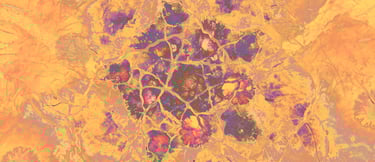 The image shows the bright apricot and purple-coloured organic background of tsita zee's logo.