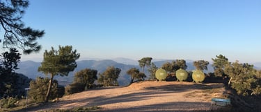 Living the Dream French Riviera Esterel