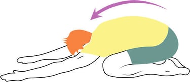 flexion du dos