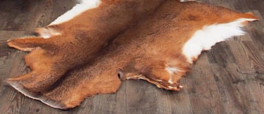 brain tanned hide shtf prepper hunting