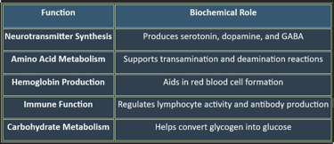 Pyridoxine_functions