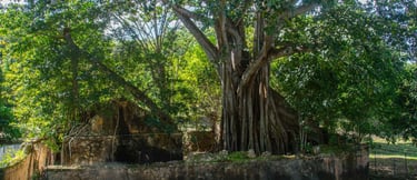 petit canal voyage france guadeloupe