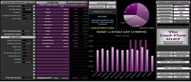 The Cash Flow Diet sample dashboard