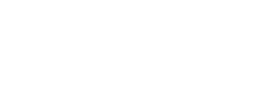 pioneer logo white