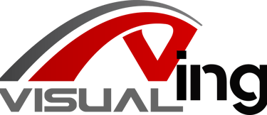 visualing logo
