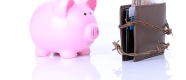 an unhappy piggy bank looking at a wallet which is kept closed by barbed wire