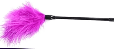 le plumeau