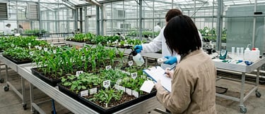 Invernadero científico desarrolla herbicidas para productividad agrícola y empresas
