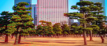 Tokyo Cinematic
