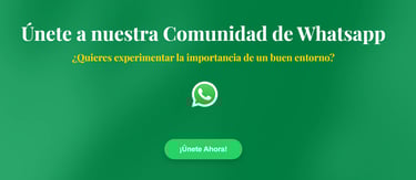 foto ejemplo web prfitness