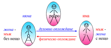 духовно и физическо оплождане