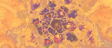 The image shows the bright apricot and purple-coloured organic background of tsita zee's logo.