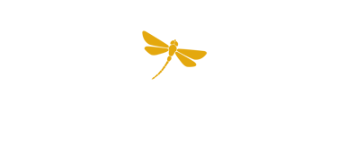 Focus Stress - Transformation et libération du stress femmes actives à Boulogne Paris