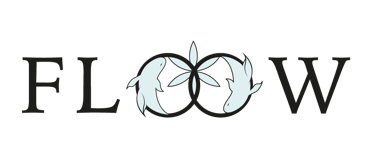 Creación de identidad visual
