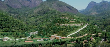 myo araras vista áerea 