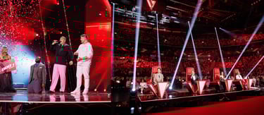 Renginių fotografas, top, geriausi, fotografai Vilniuje, Kaune, Eimantas Paulauskas, linkedin nuotraukos, lietuvos balsas