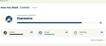 Personality assessment dashboard showing an expressive primary tendency score of 81 with driving, steady, and analytical
