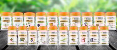 a group of bottles of vitamin supplements