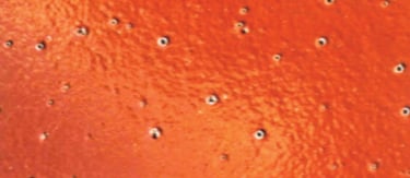 lỗi sơn tĩnh điện bị mắt cá