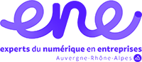 Logo Experts du Numérique en Entreprise