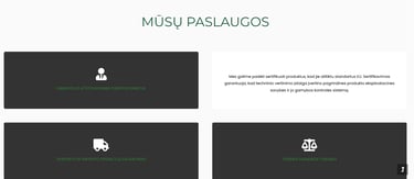 Business service icons for European market representation, logistics, and legal assistance in Lithuania.