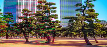 Tokyo Cinematic