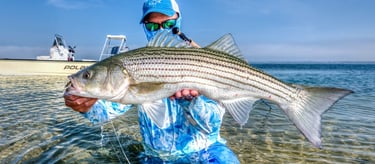 Sergio Diaz with a shallow water striped bass
