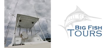 A dual-panel image for Big Fish Tours. The left side shows a low-angle shot of a professional sportf