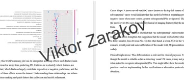 SHAP summary plot Viktor Zarakov