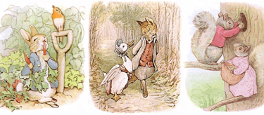 Beatrix Potter Drawings