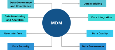 Master Data Management