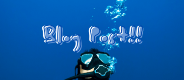 Blog Post Sandy Beach Dive Academy