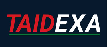 Taidexa large brand logo