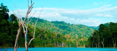 4 Days 3 Nights Royal Belum National Park Tour & Travel Packages
