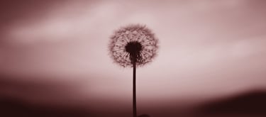 Image credit: Aleksandr Ledogorov from Unsplash