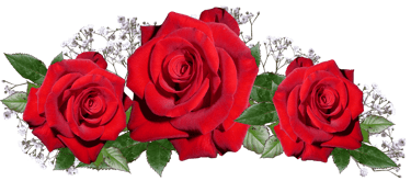 O Yoga e as Rosas