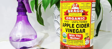 Apple cider vinegar natural pest treatment for houseplants