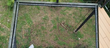 Catamaran fotografia desde arriba