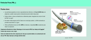 PM 2.5