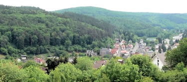 Schmitten eingebettet in bewaldeten Hügeln