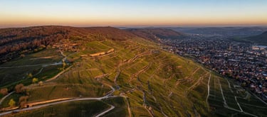 Panorama-Aufnahme der Weinberge in 71384 Weinstadt im Remstal bei Sonnenuntergang