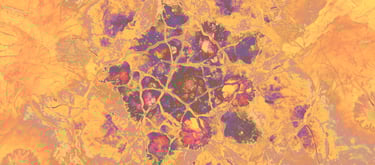 The image shows the bright apricot and purple-coloured organic background of tsita zee's logo.