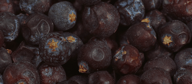 a bunch of juniper are shown in this picture