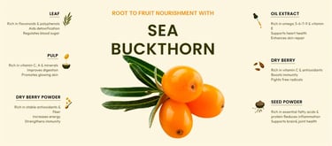 Root to fruit nourishment with Sea Buckthorn – rich in omega 3, 6, 9, and rare omega 7