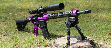 Custom AR15 purple with carbon fiber