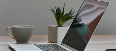 work laptop