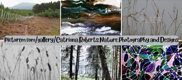 a collage of photos of a variety of different types of art