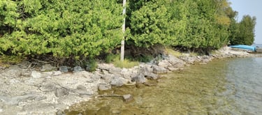 A rocky shoreline area that may be reviewed as part of a Natural Heritage Evaluation.
